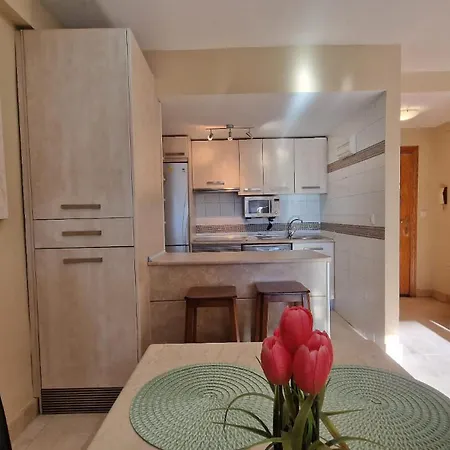 Apartment Ginebra Premium